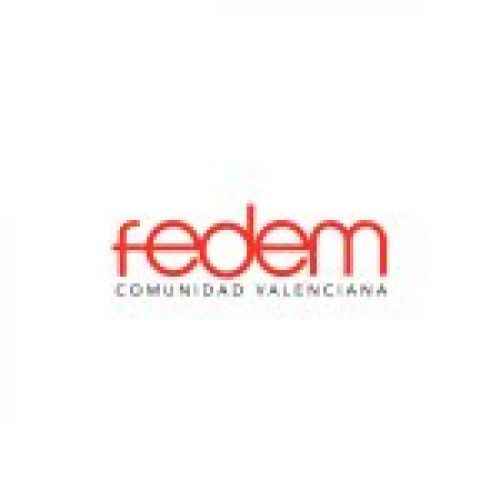 AVM FEDEM Valencia