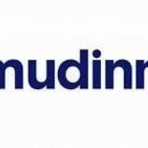 mudinmar removals