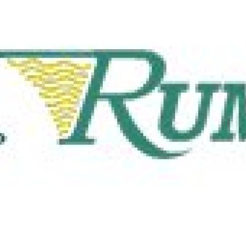 fedem mudanzas logo rumbo empresa