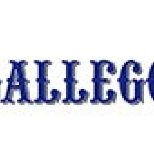 fedem mudanzas logo gallegos empresa