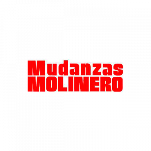 fedem logo empresa contenido mudanzas molinero zaragoza